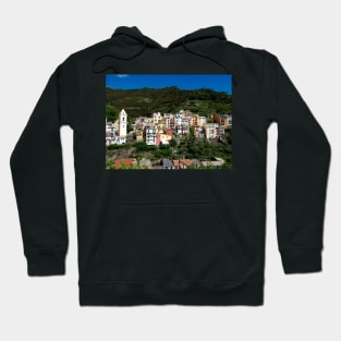 View on the cliff town of Manarola, one of the colorful Cinque Terre on the Italian west coast Hoodie